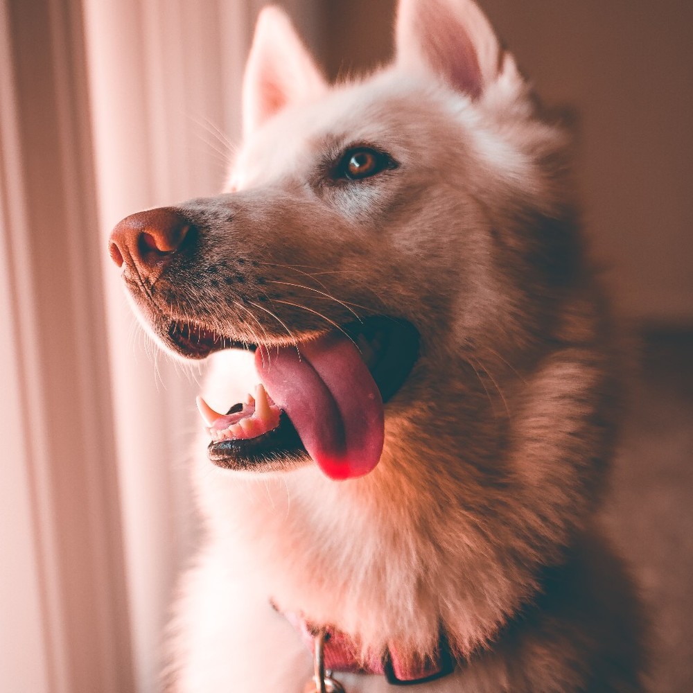 Meet your Posher, Terrence